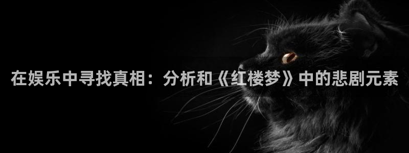 超凡国际服：在娱乐中寻找真相：分析和《红楼梦》中的悲剧元素