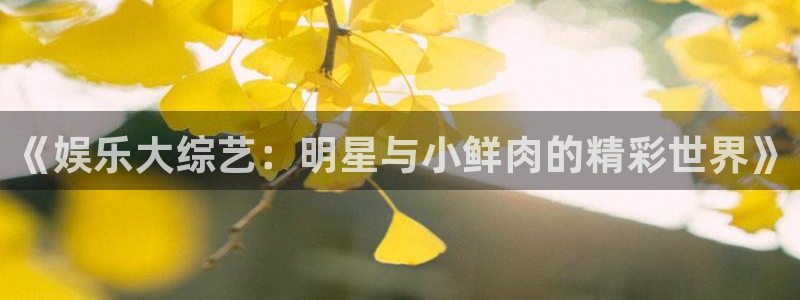 超凡国际官网：《娱乐大综艺：明星与小鲜肉的精彩世界》