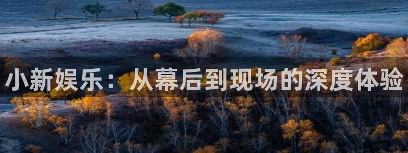超凡国际下载app：小新娱乐：从幕后到现场的深度体验