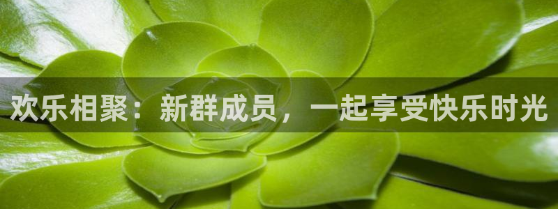 超凡国际服：欢乐相聚：新群成员，一起享受快乐时光