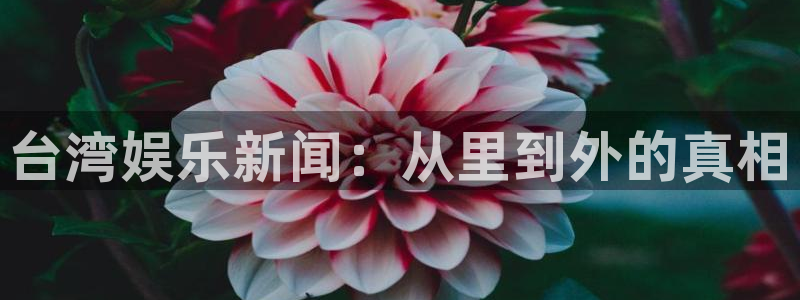 超凡国际pg电子游戏官网：台湾娱乐新闻：从里到外的真相