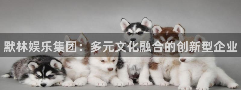 超凡国际app官方下载：默林娱乐集团：多元文化融合的创新型企业